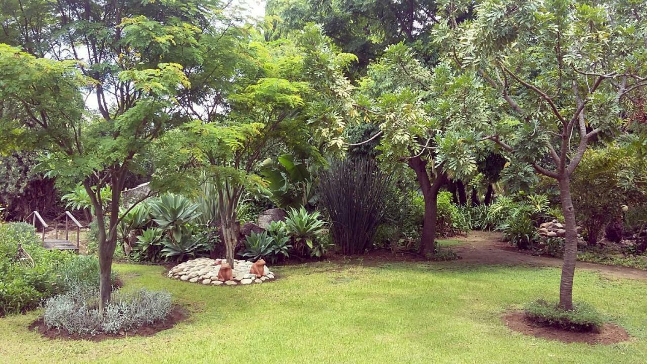 Beyond Cui Bono Guesthouse Addo Dış mekan fotoğraf